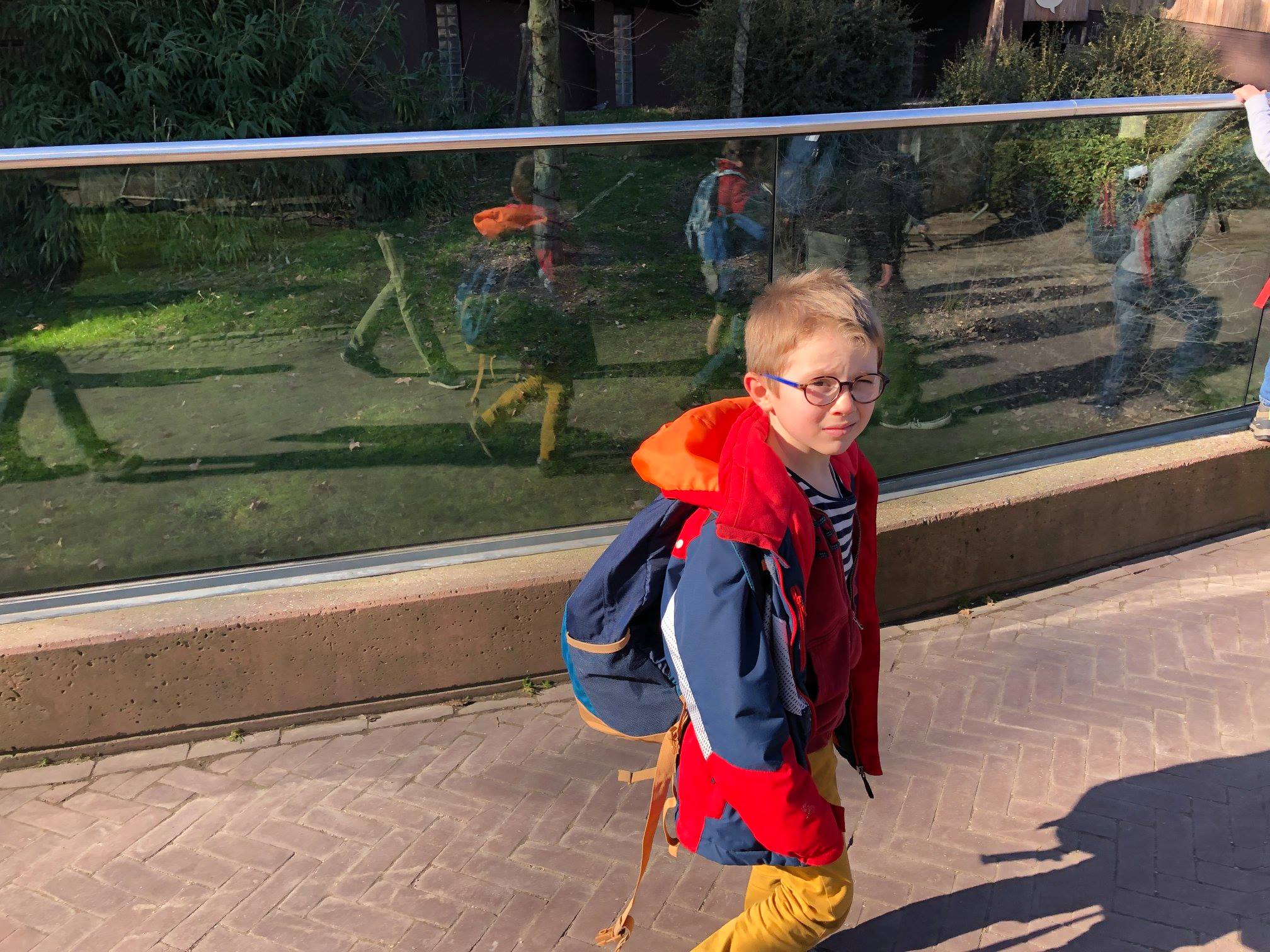 Sint-Martinus den XIIde - Zoo Antwerpen Kapoenen